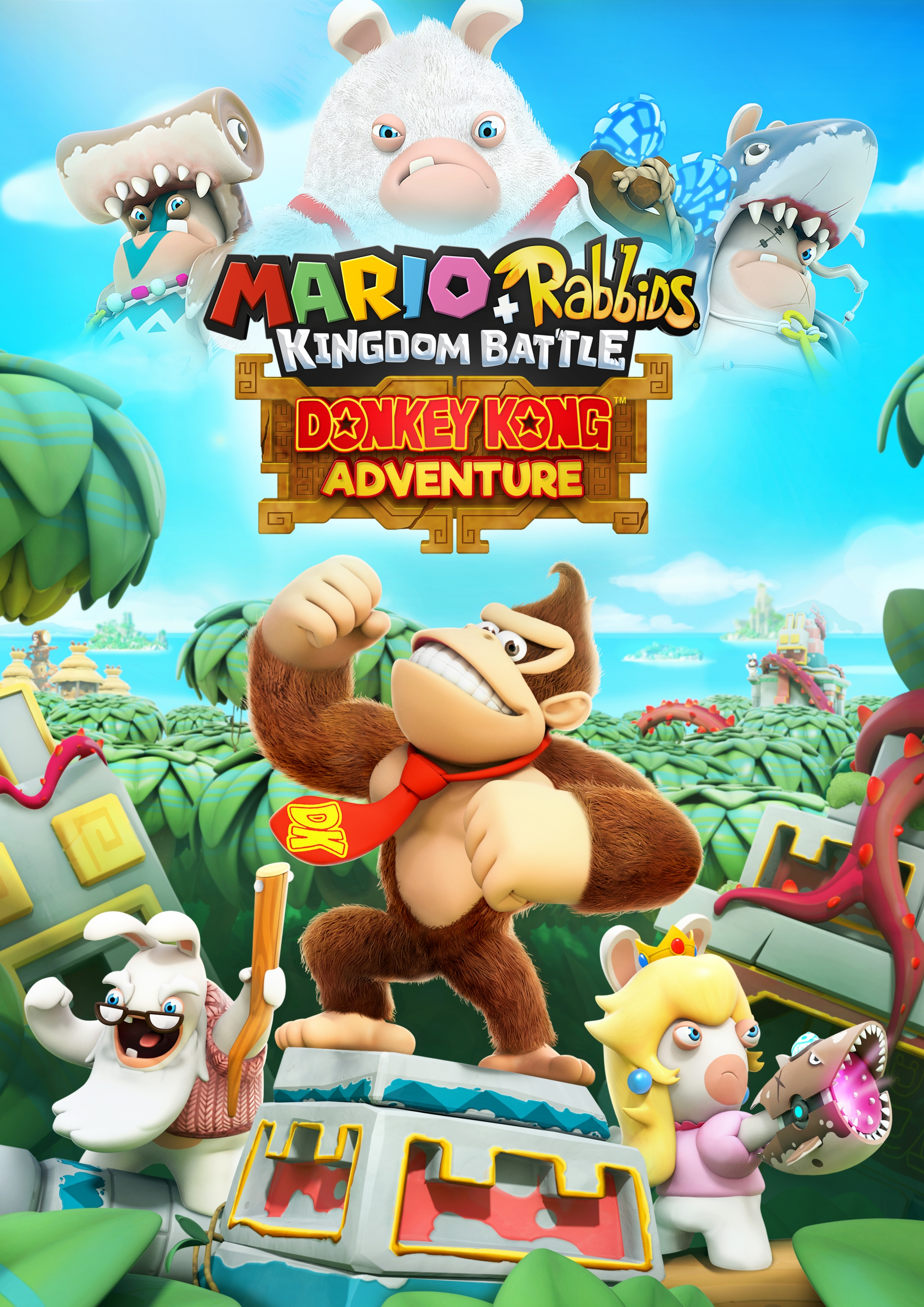 Cover 13