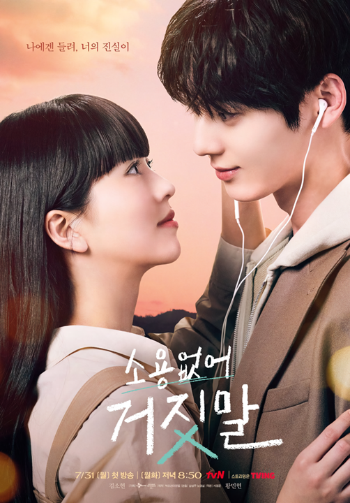 My Lovely Liar's cover