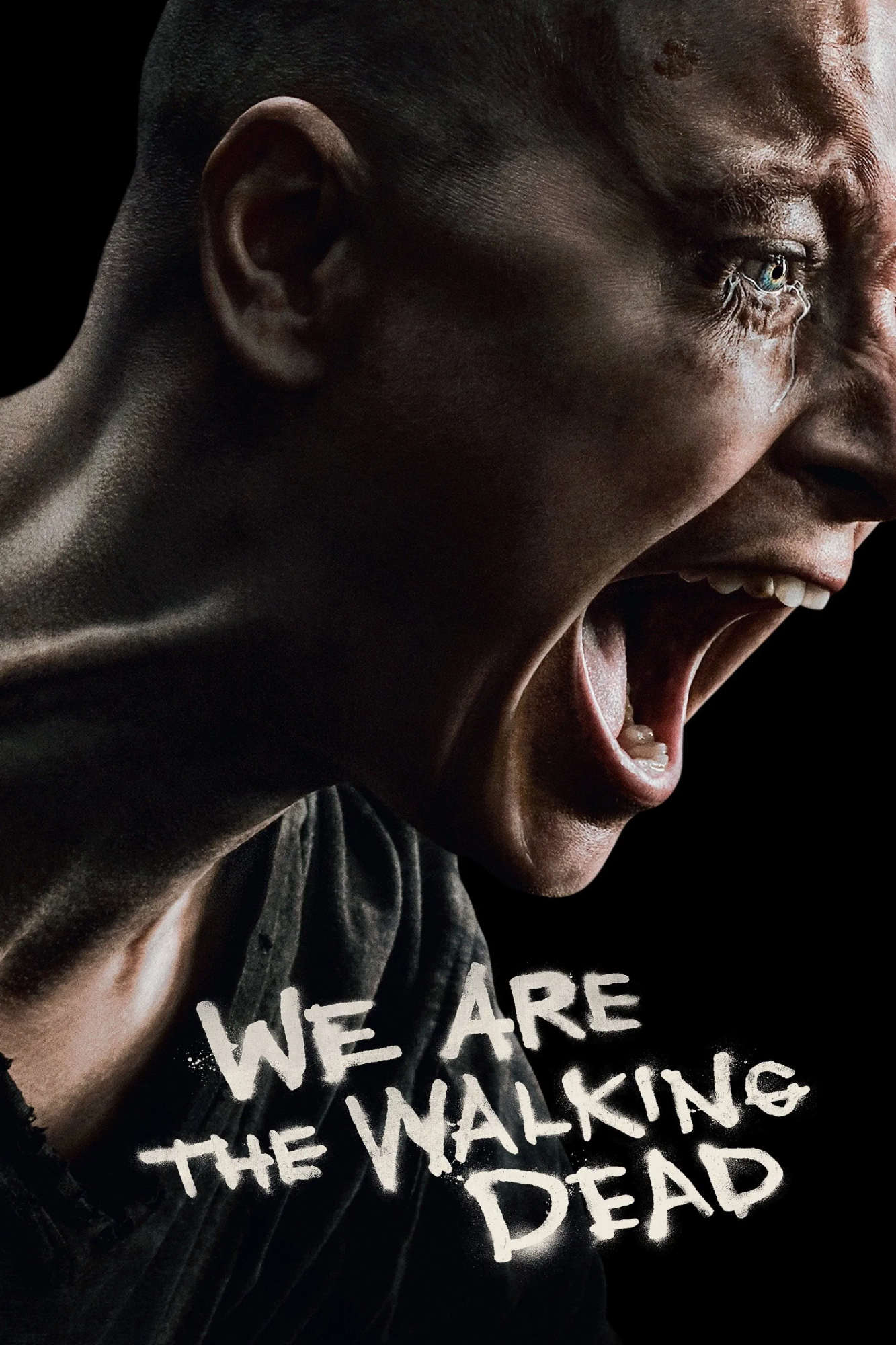 Cover 11