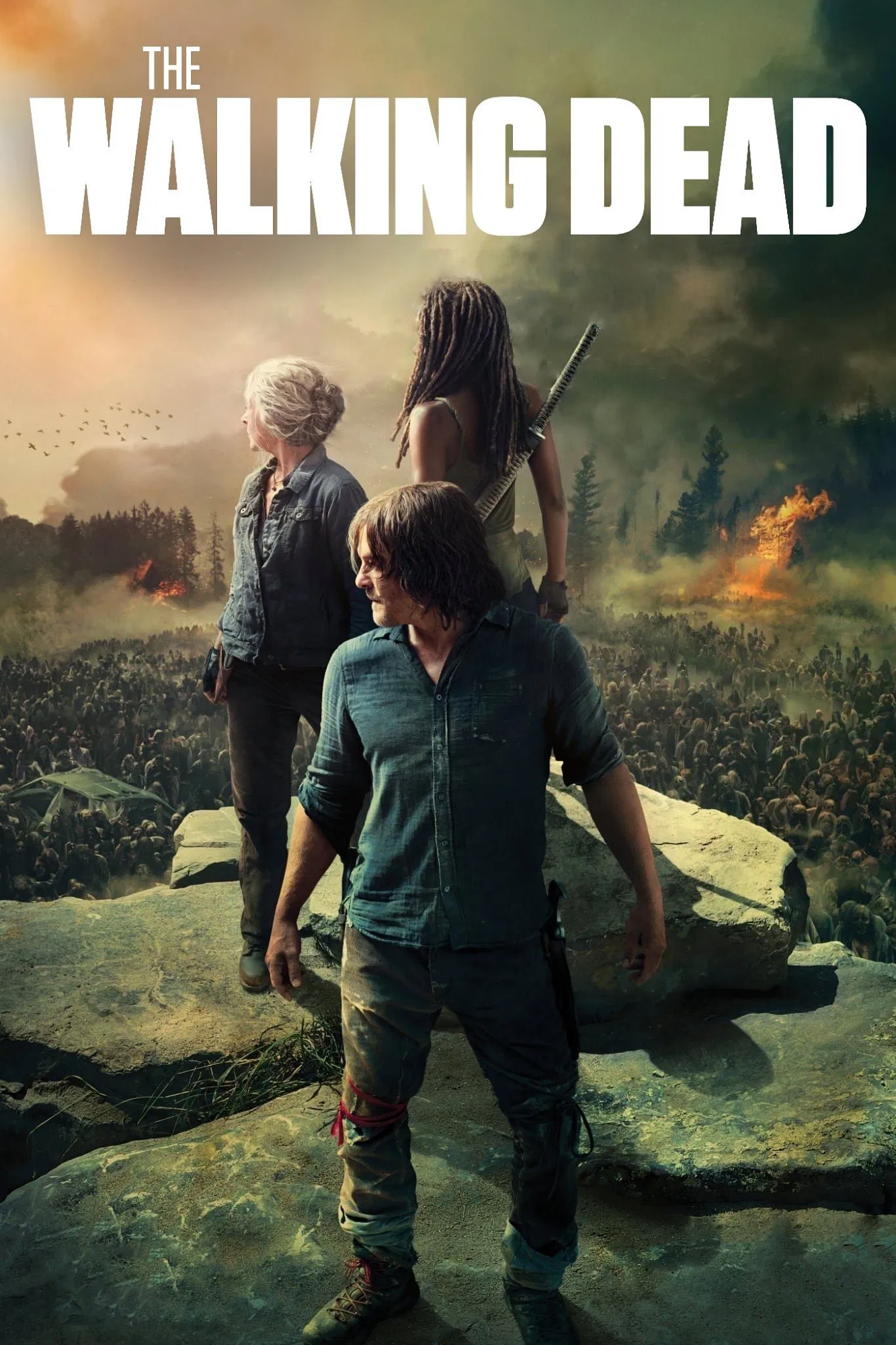 Cover 13