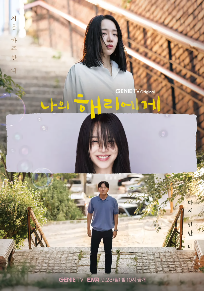 Cover 3