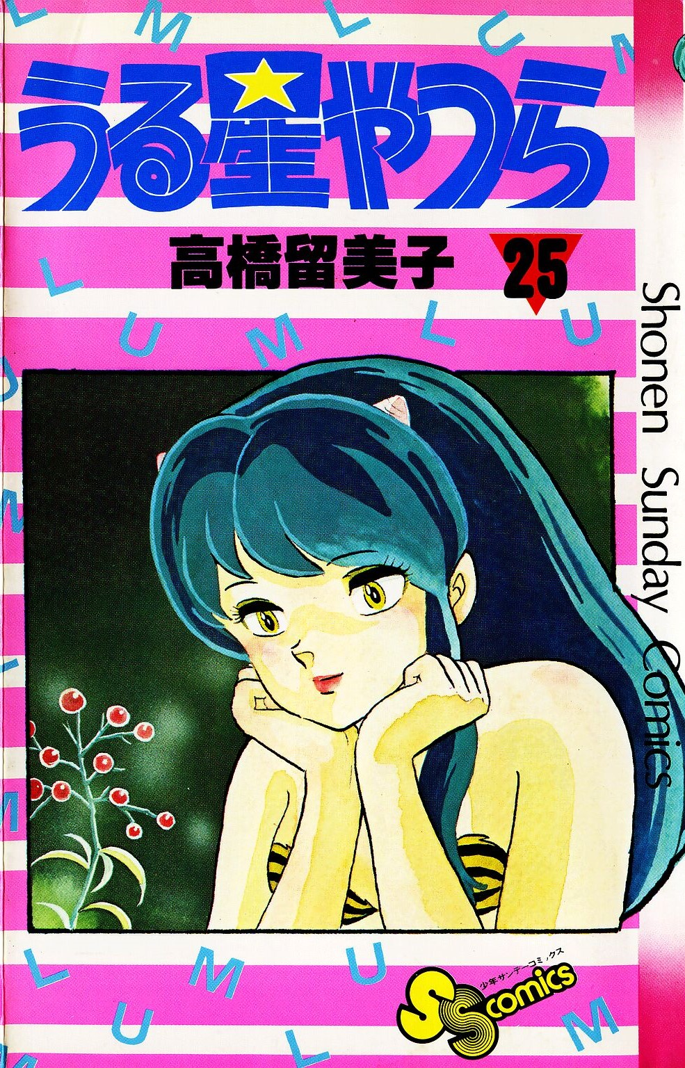 Cover 25