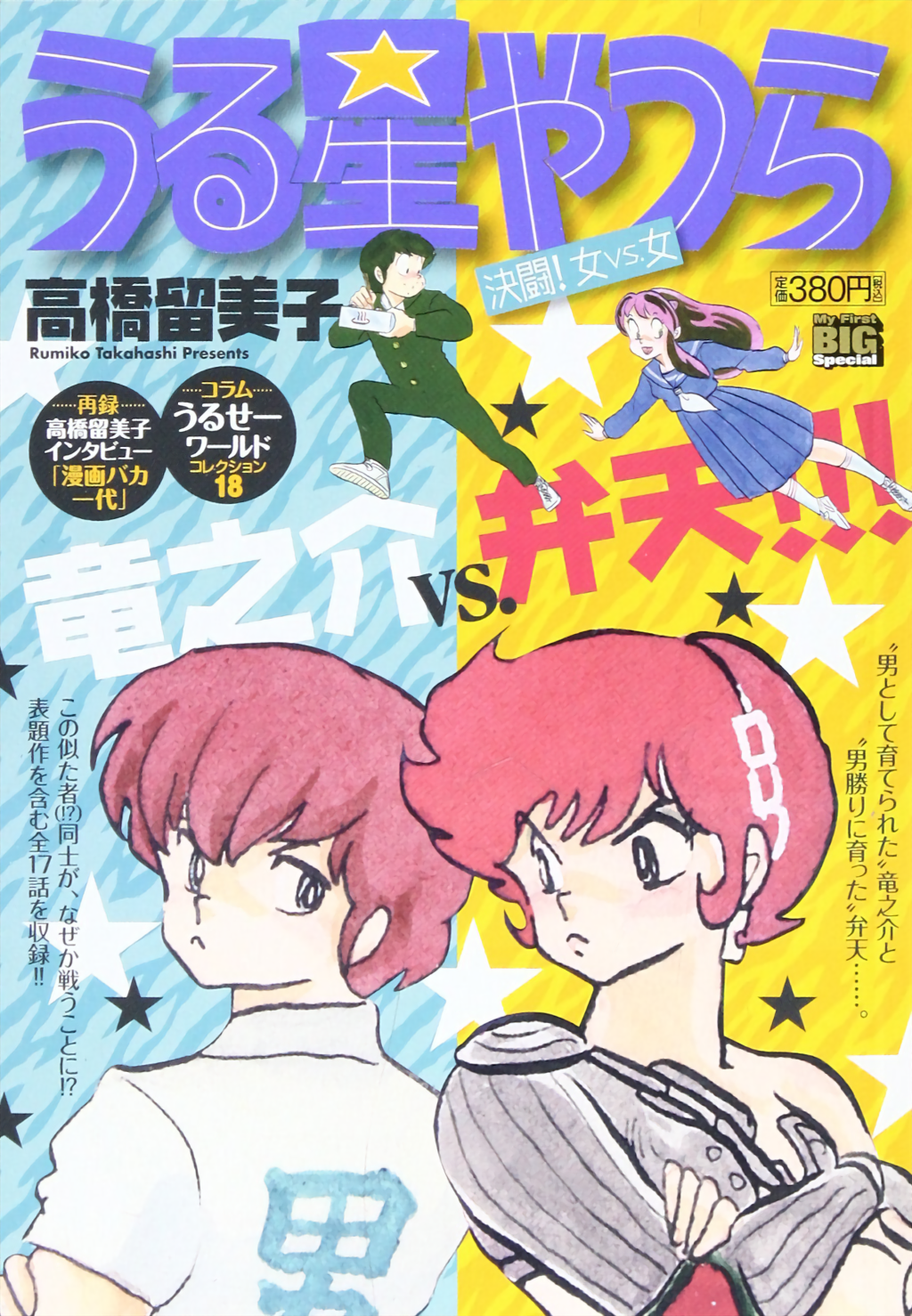Cover 110