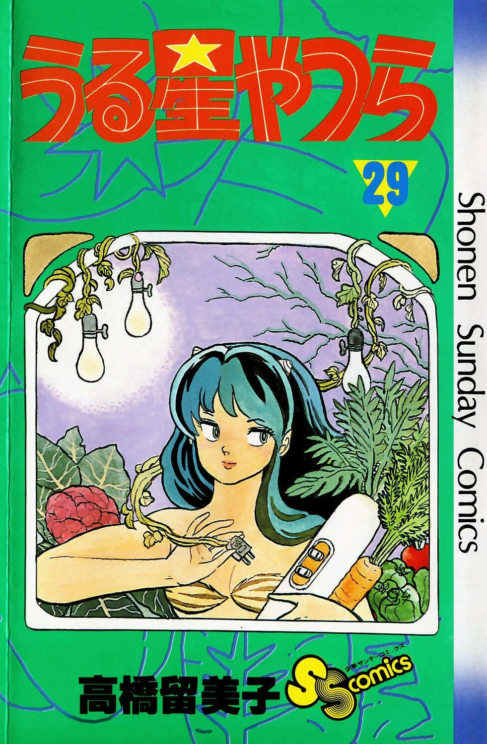 Cover 29