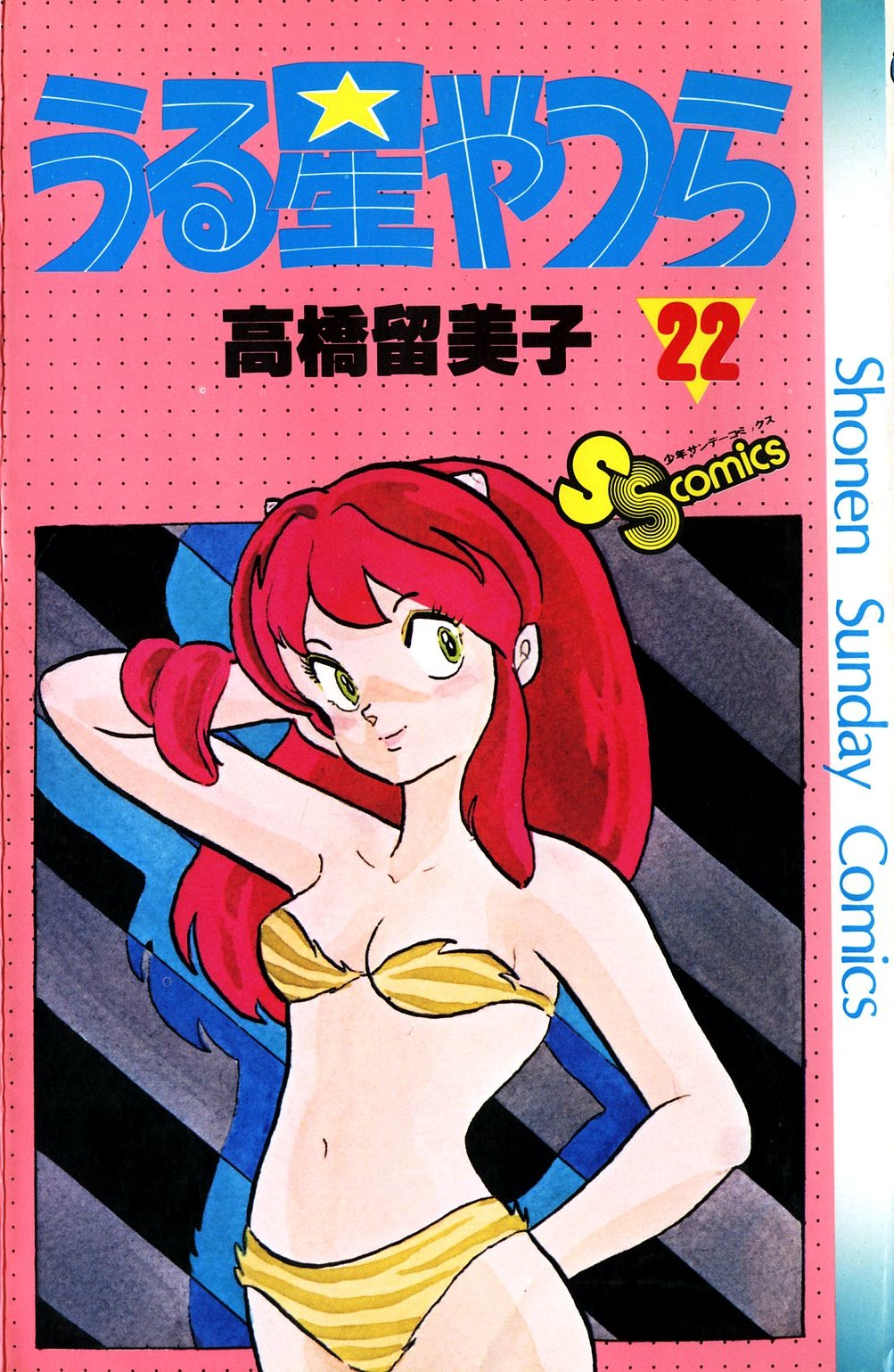 Cover 22