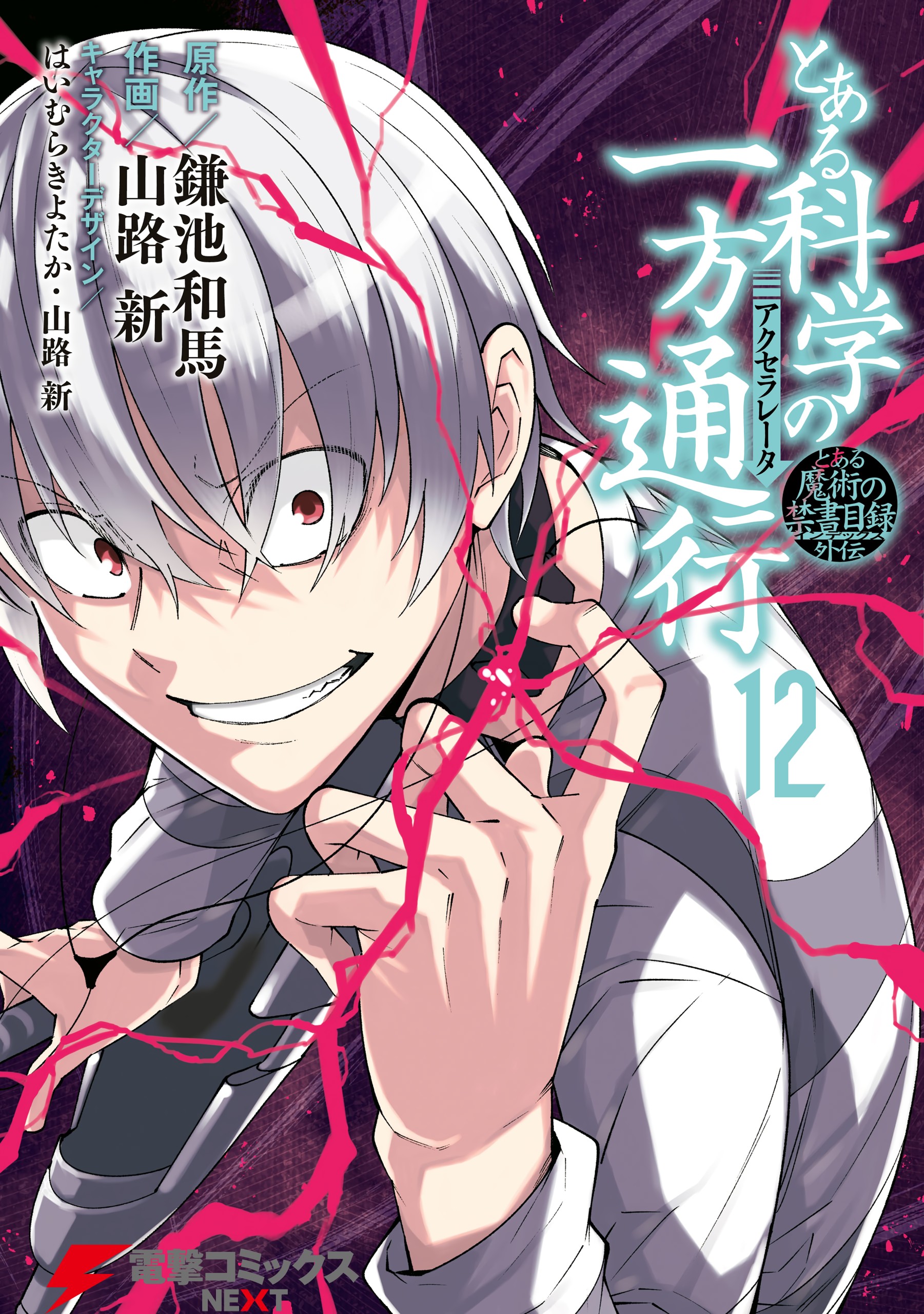 Cover 13