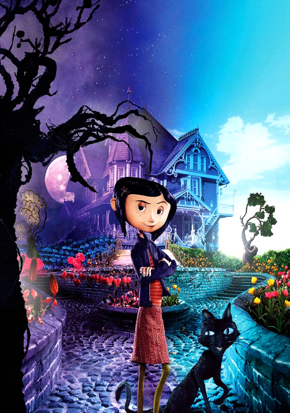 Cover 5