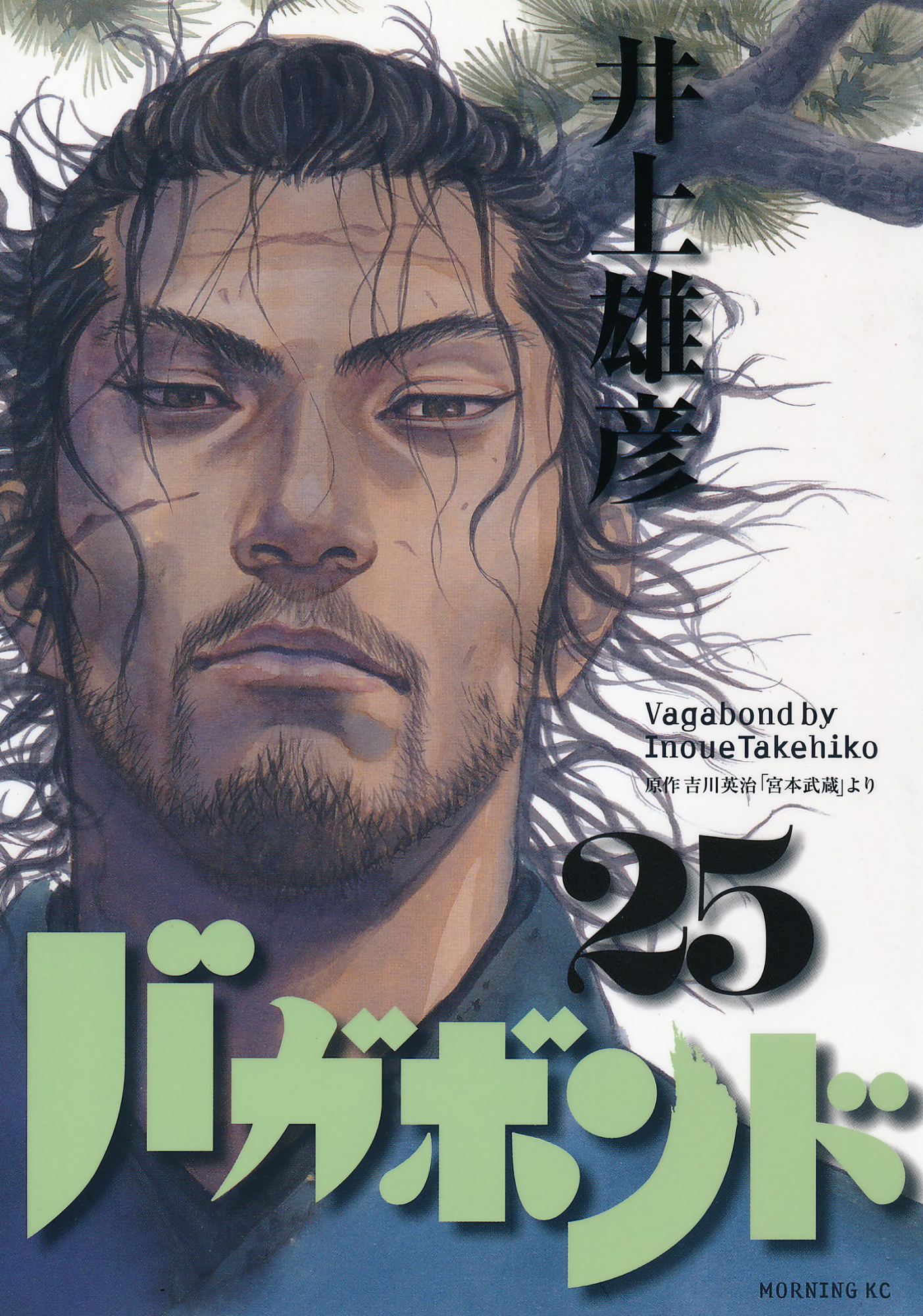 Cover 25