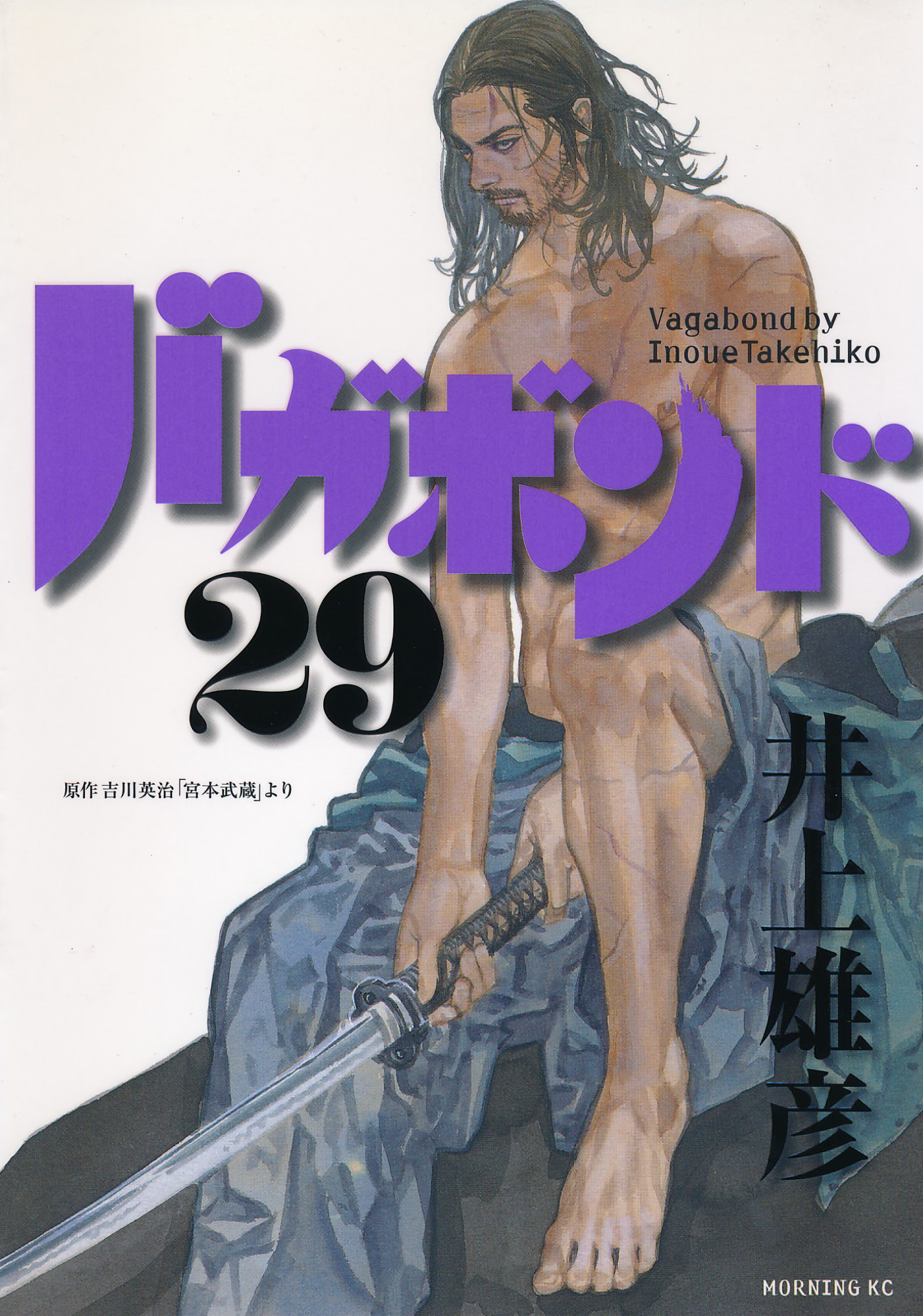 Cover 29