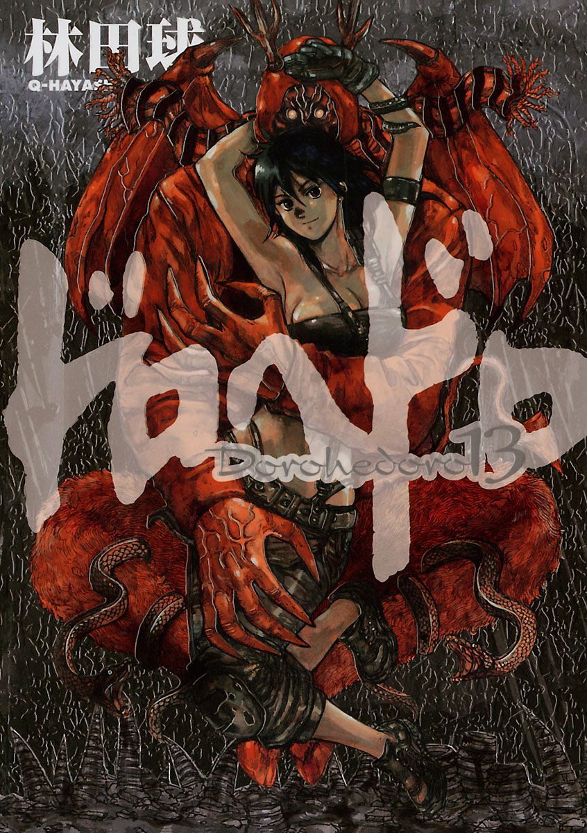 Cover 13