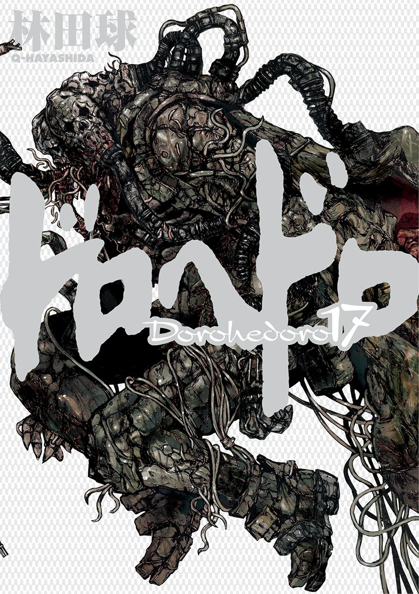 Cover 17