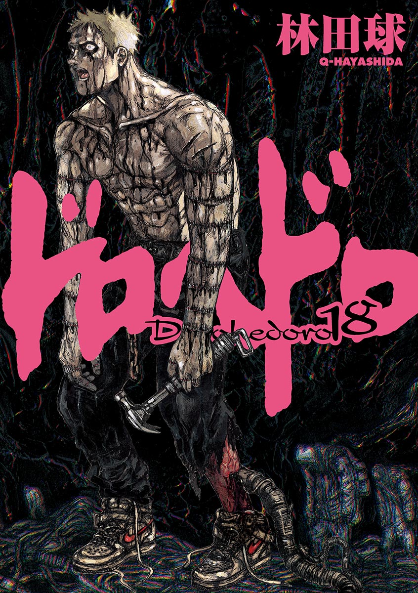 Cover 18