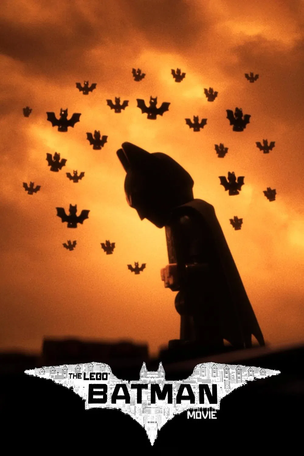 Cover 6