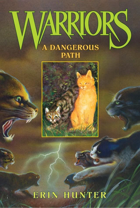 Cover 5