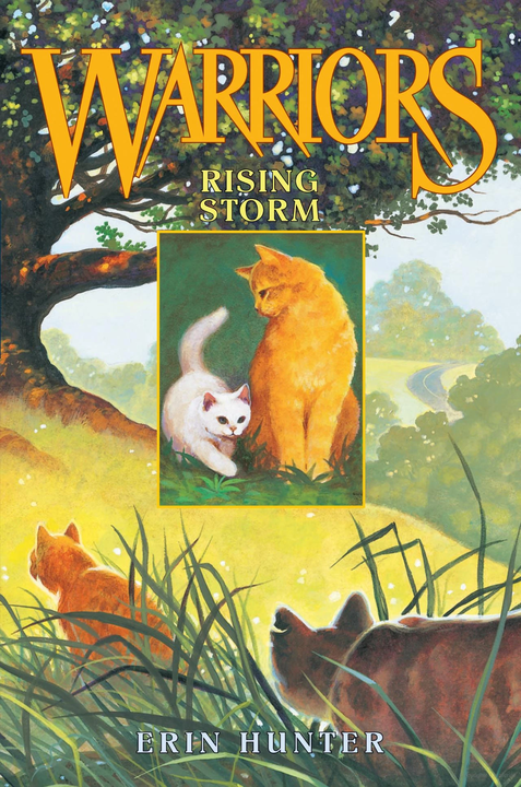 Cover 4