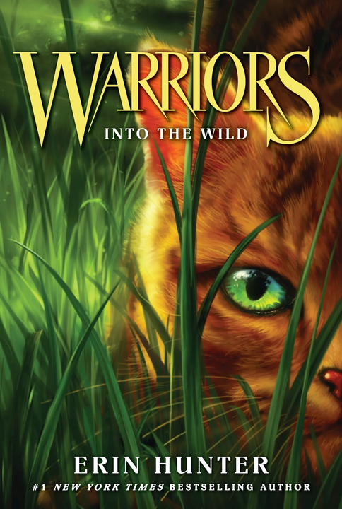 Cover 7