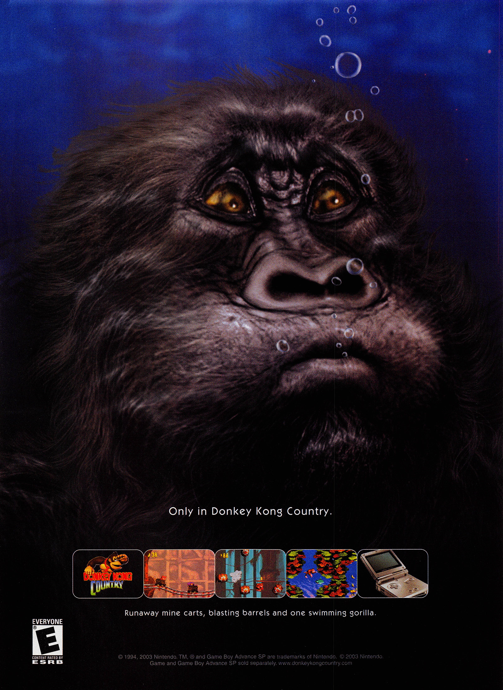 Cover 40