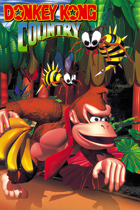 Donkey Kong Country Logo
