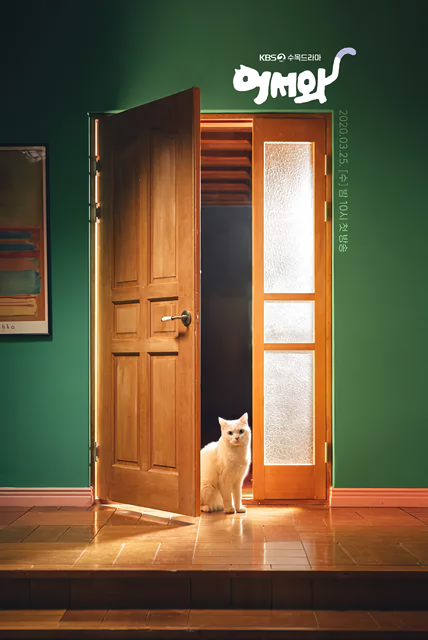 Cover 6