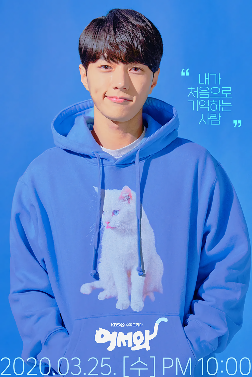Cover 4