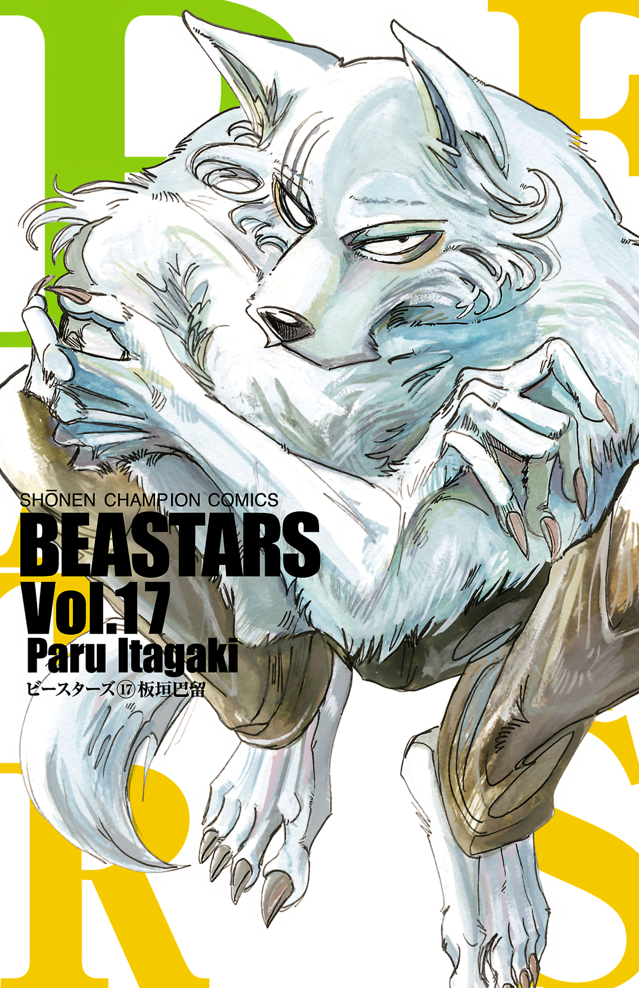 Cover 17