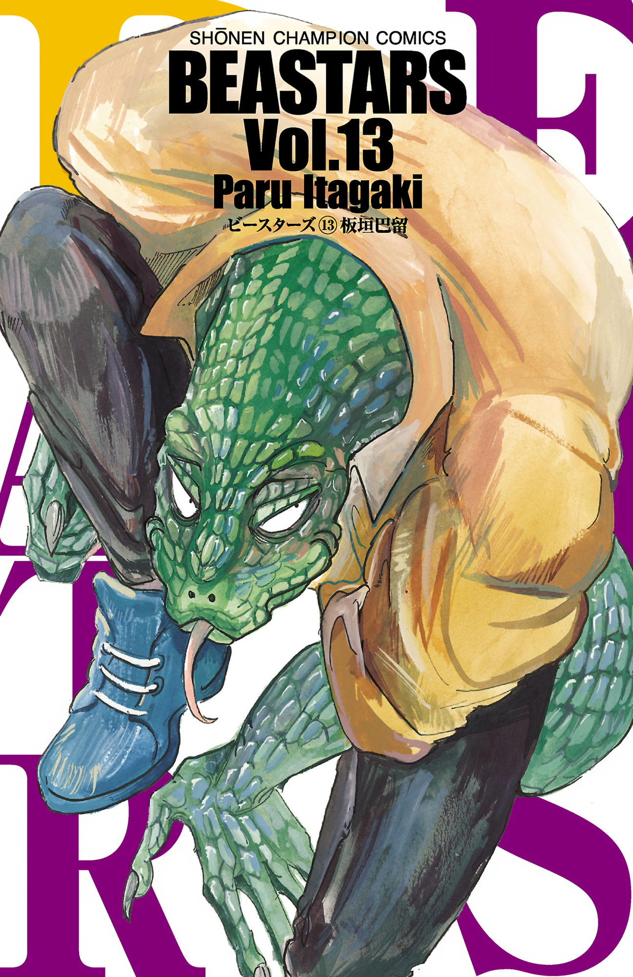 Cover 13