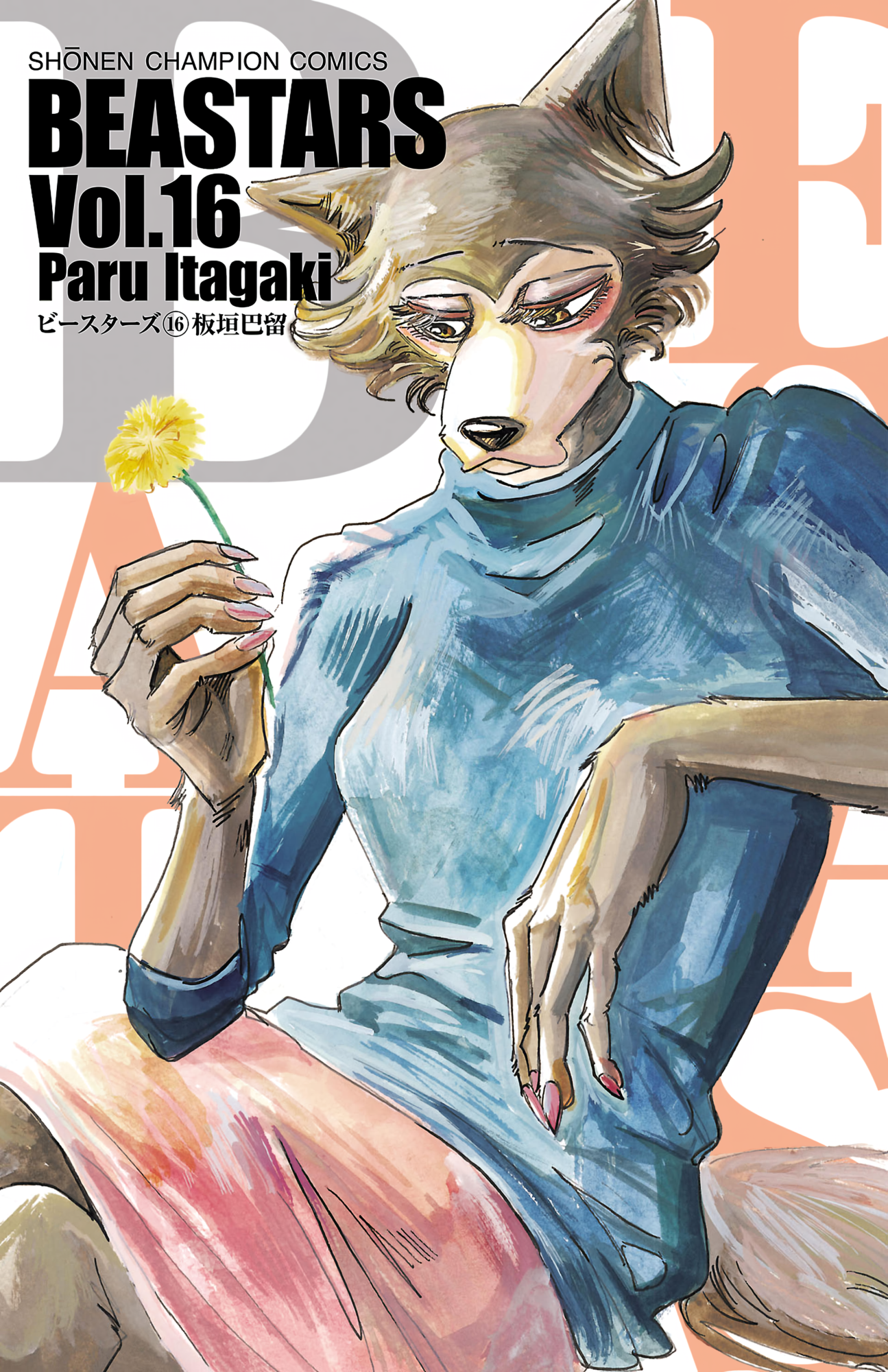 Cover 16