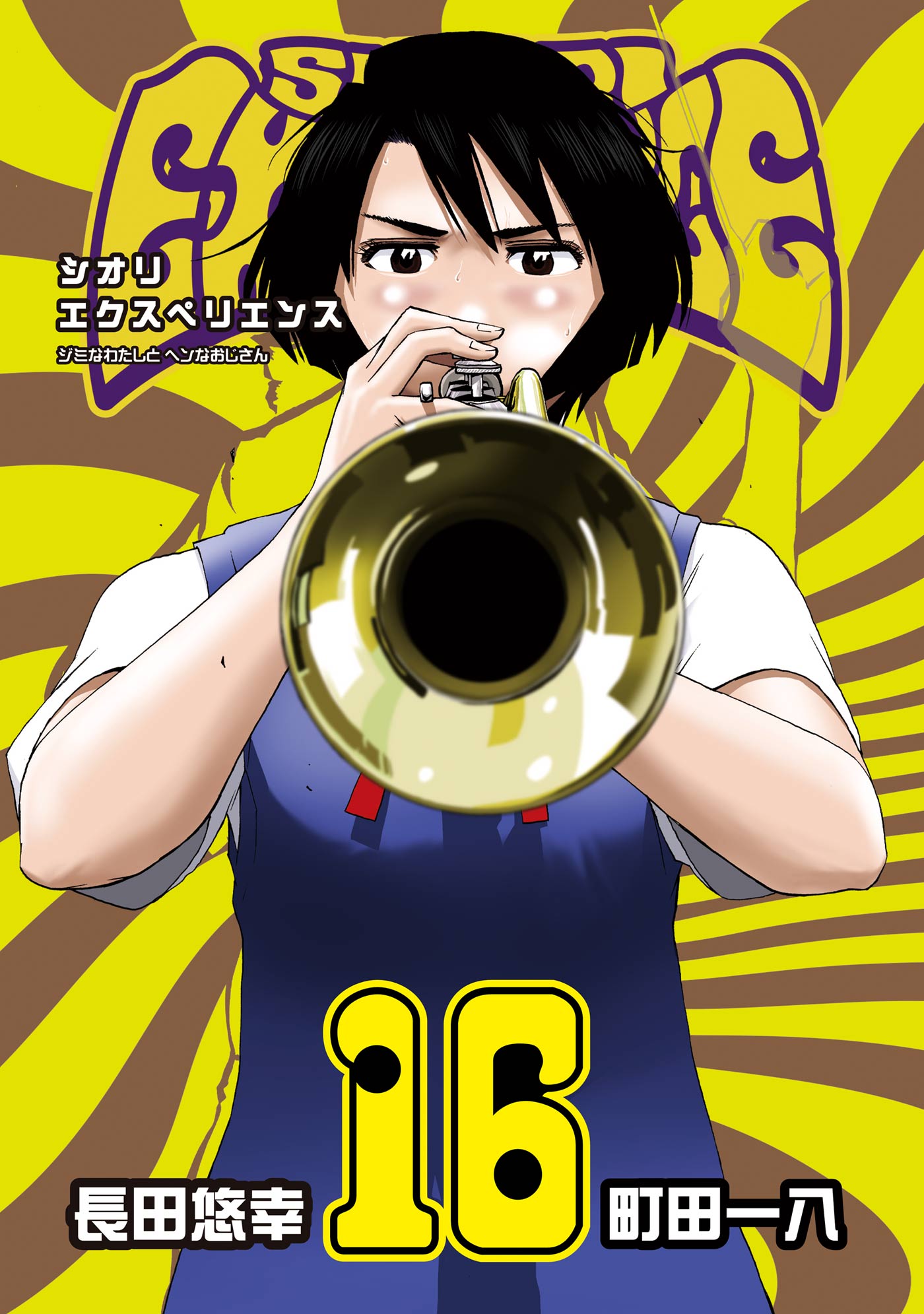 Cover 16