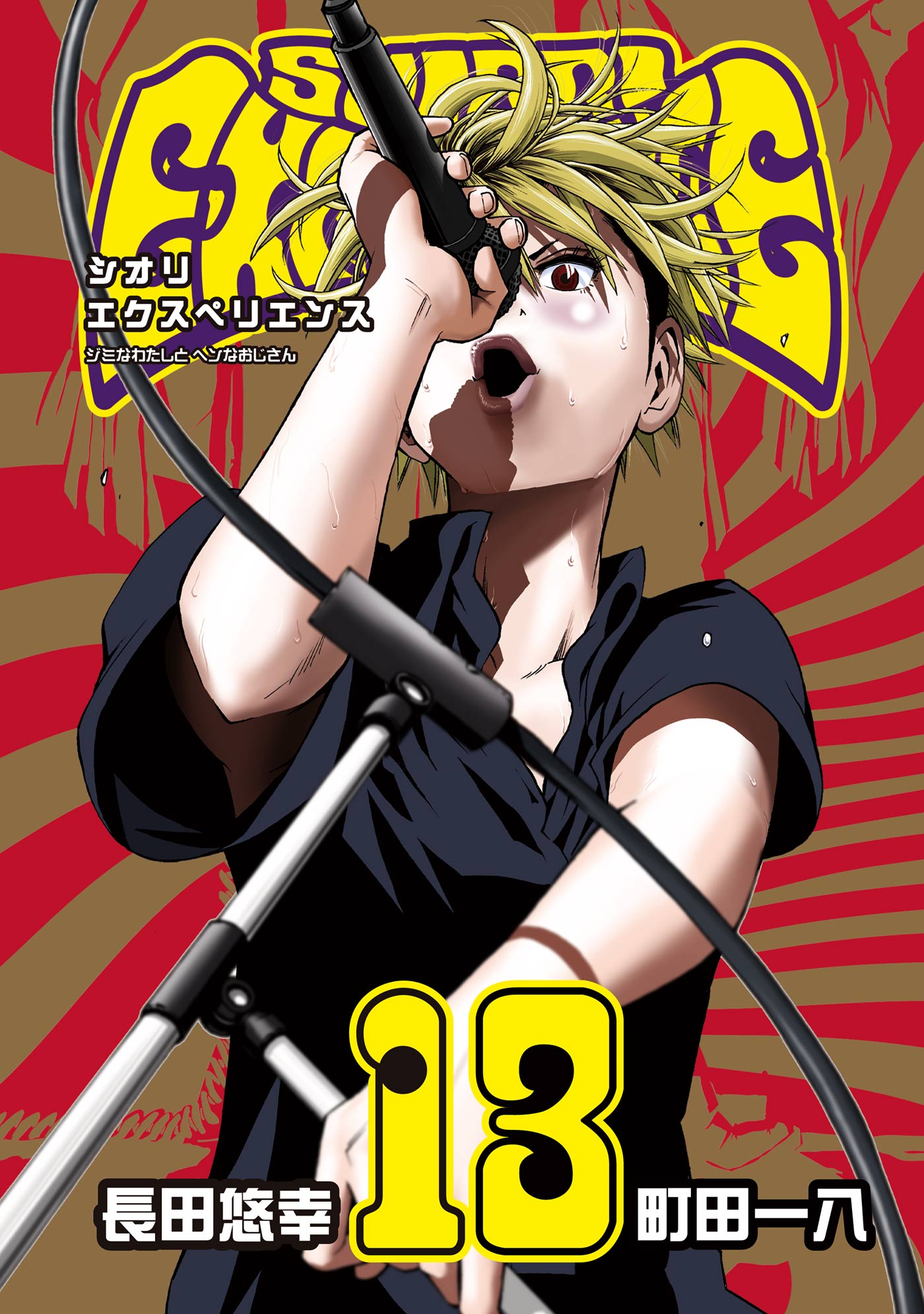 Cover 13