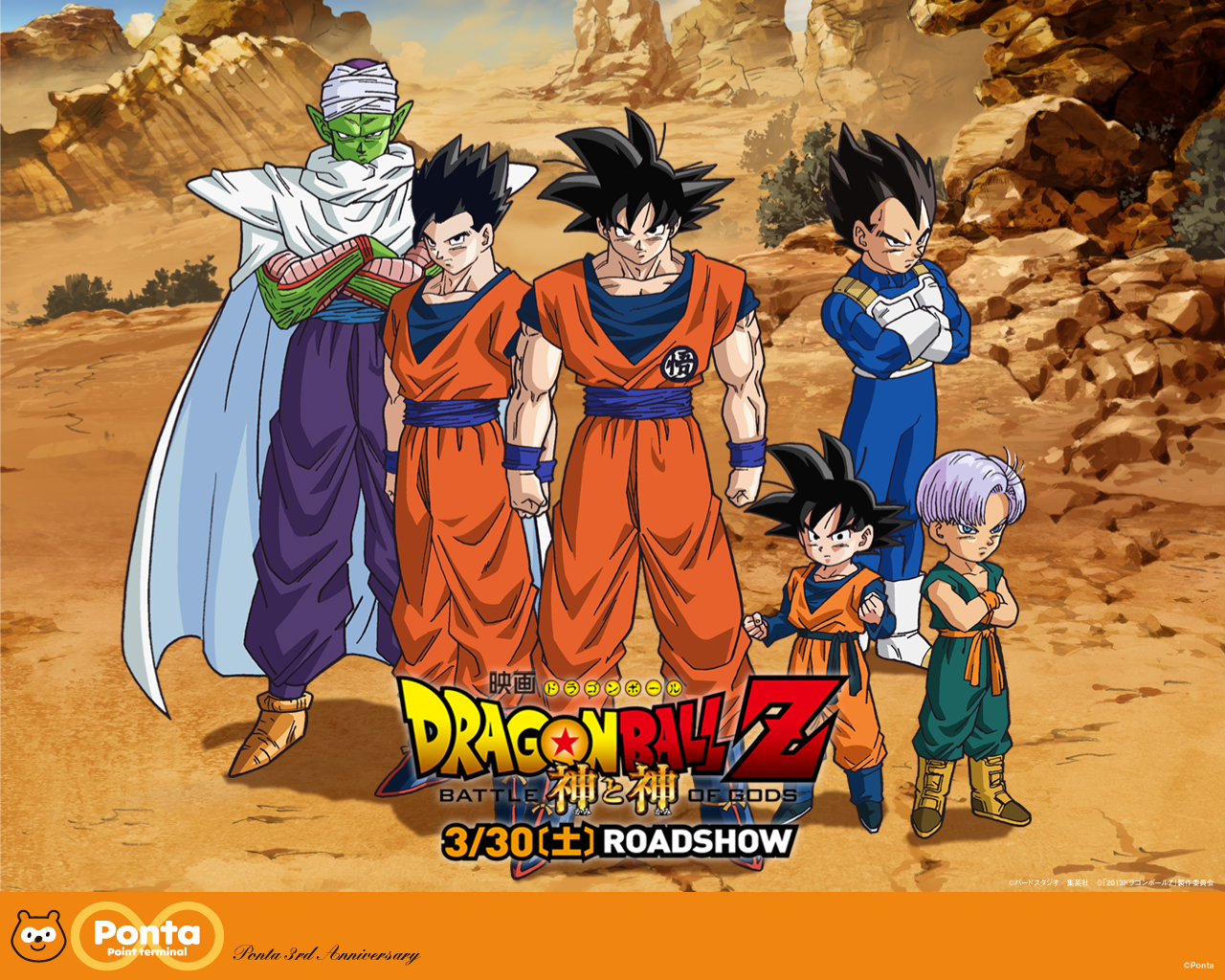 Cover 13