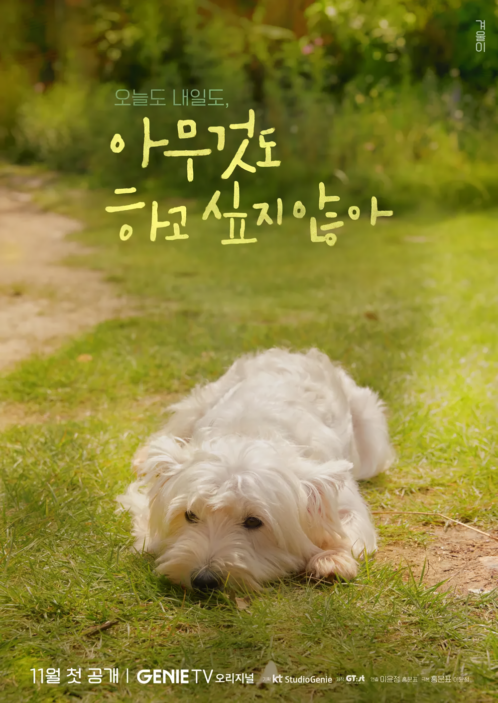 Cover 6