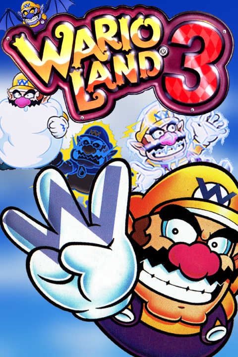 Wario Land 3's image