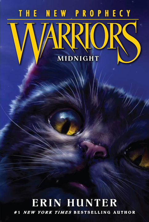 Cover 7