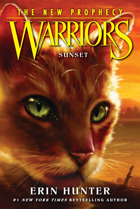 Cover 12