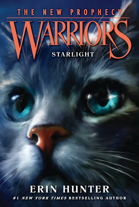 Cover 10