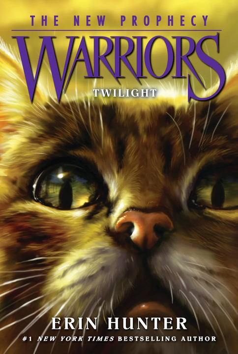 Cover 11