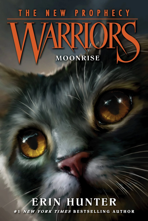 Cover 8