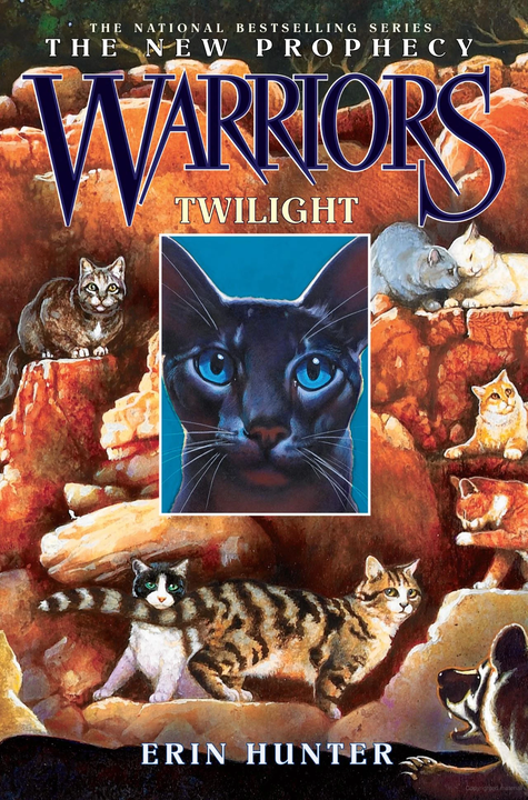 Cover 5