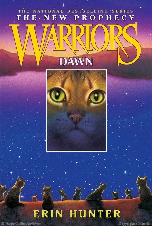 Cover 3