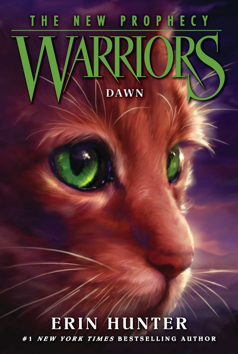 Cover 9