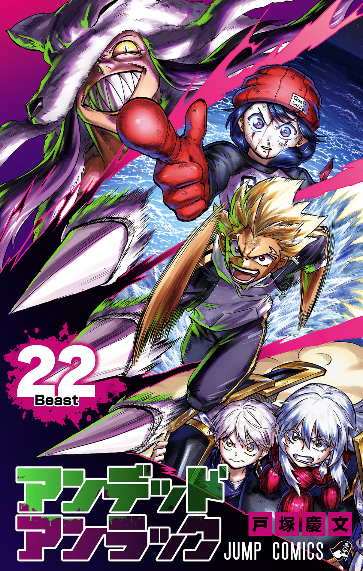 Cover 22