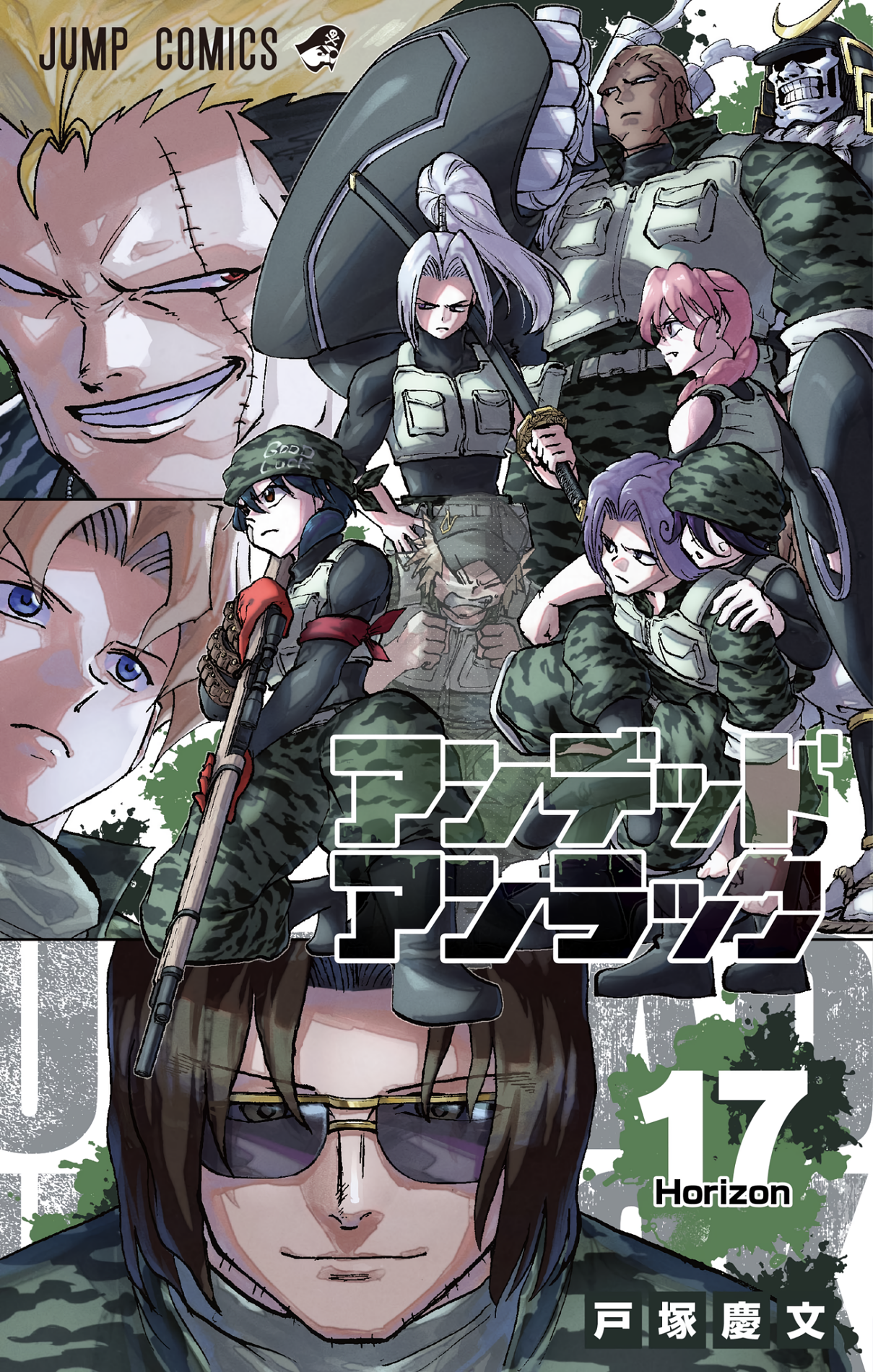 Cover 17