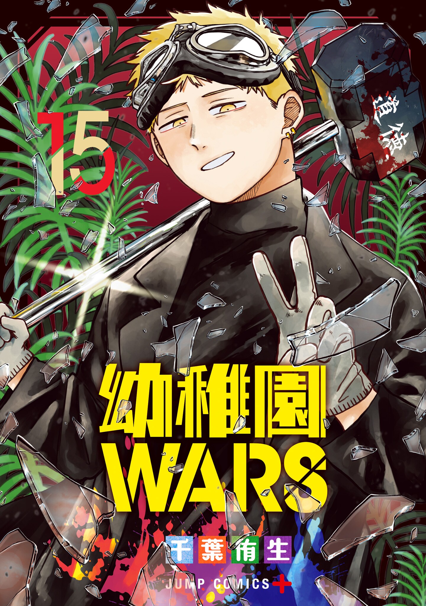 Cover 15
