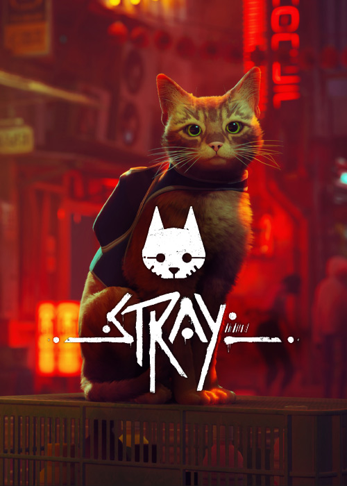 Stray's cover