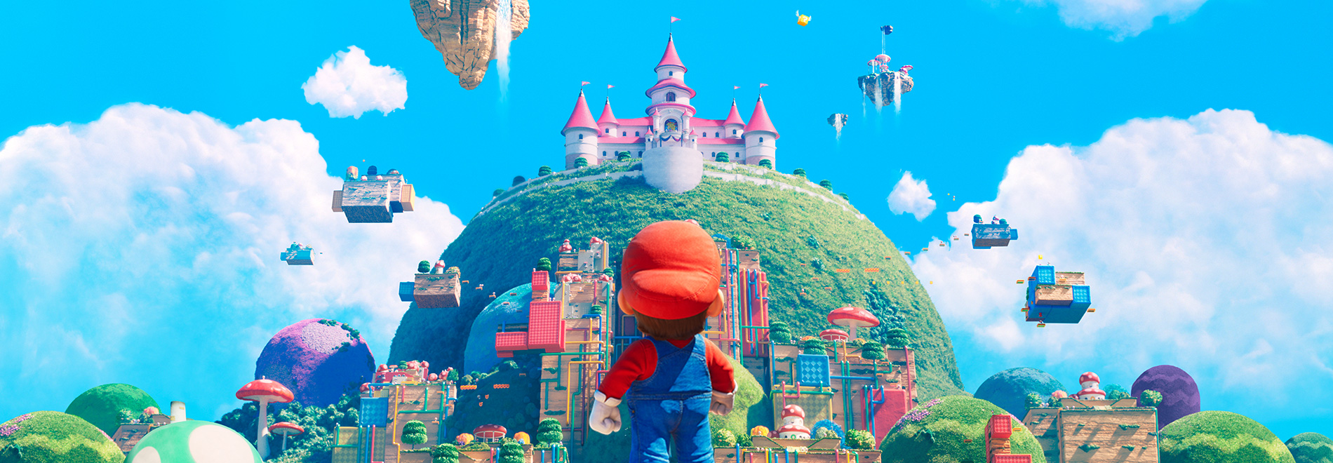 Cover 6