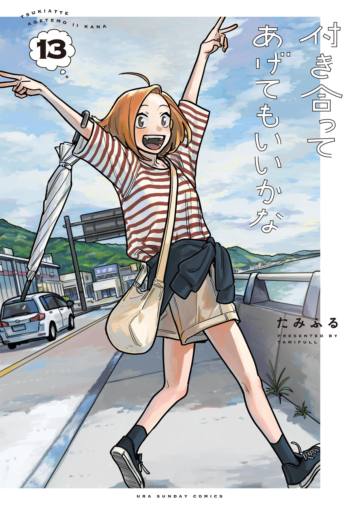 Cover 13