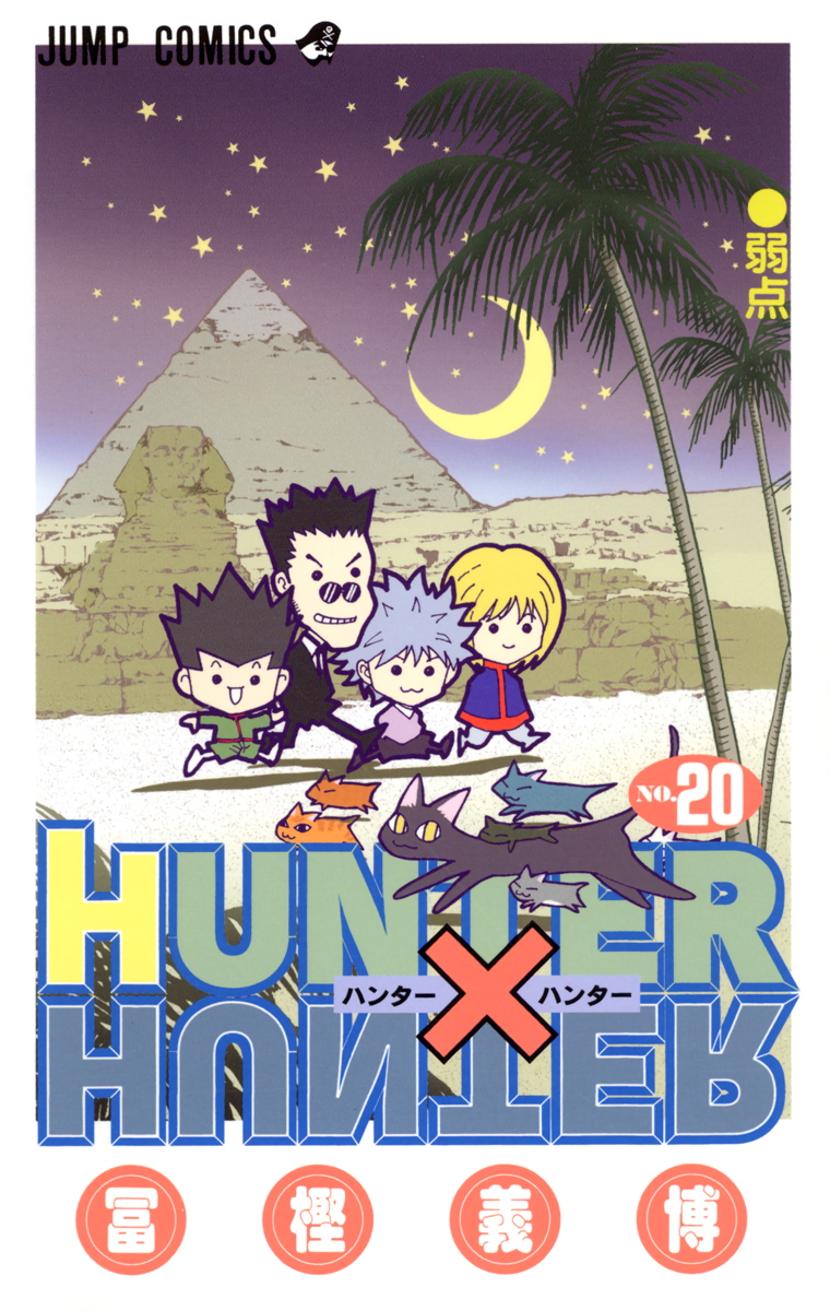 Cover 20