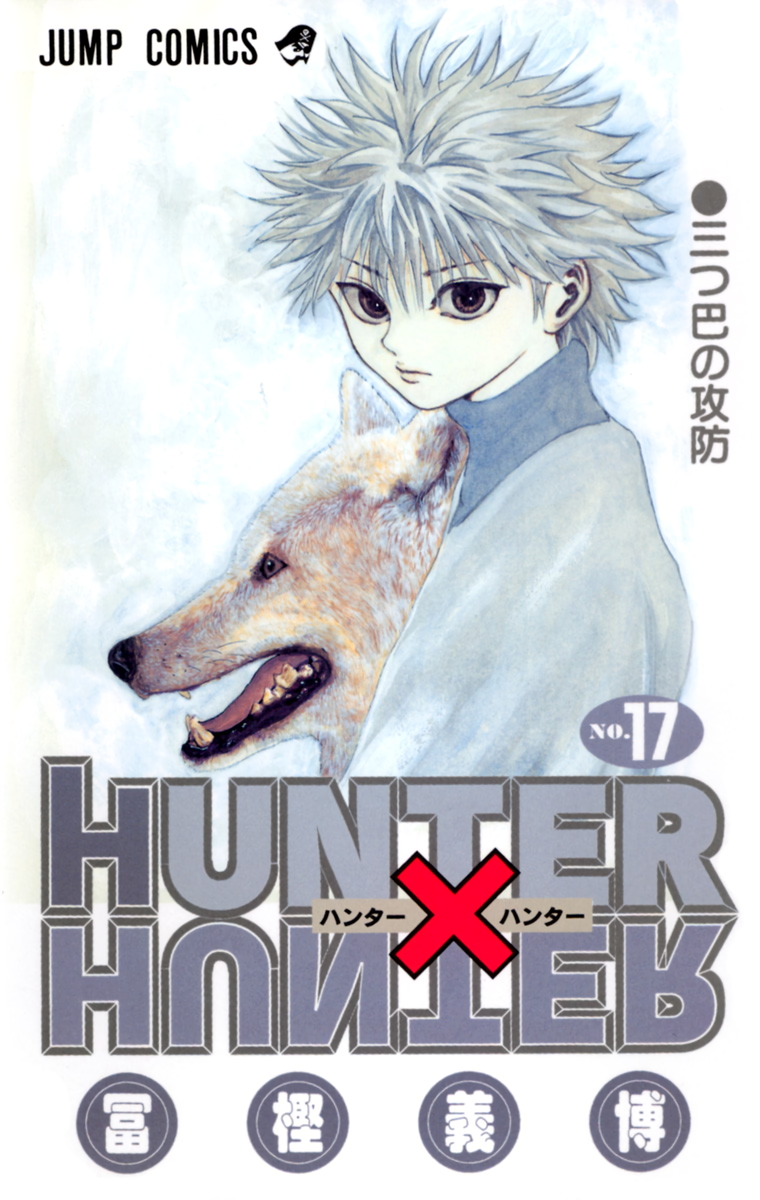 Cover 17