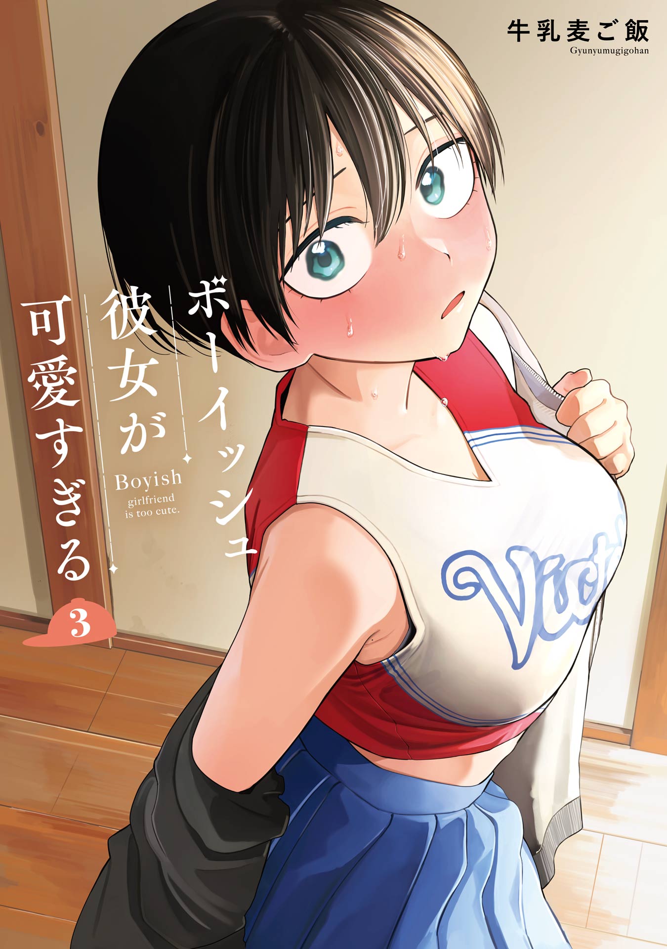 Cover 3