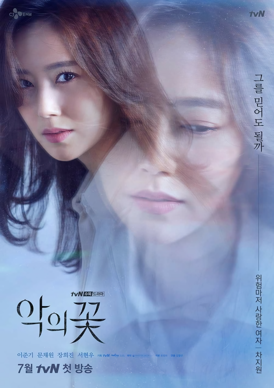 Cover 6